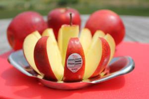 Sliced apple
