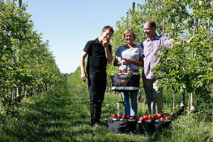 Red Prince Growers