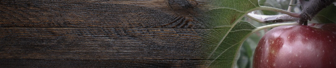 wood_skinny_Fade_v2