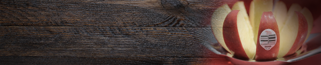 wood_skinny_Fade_whatsinside
