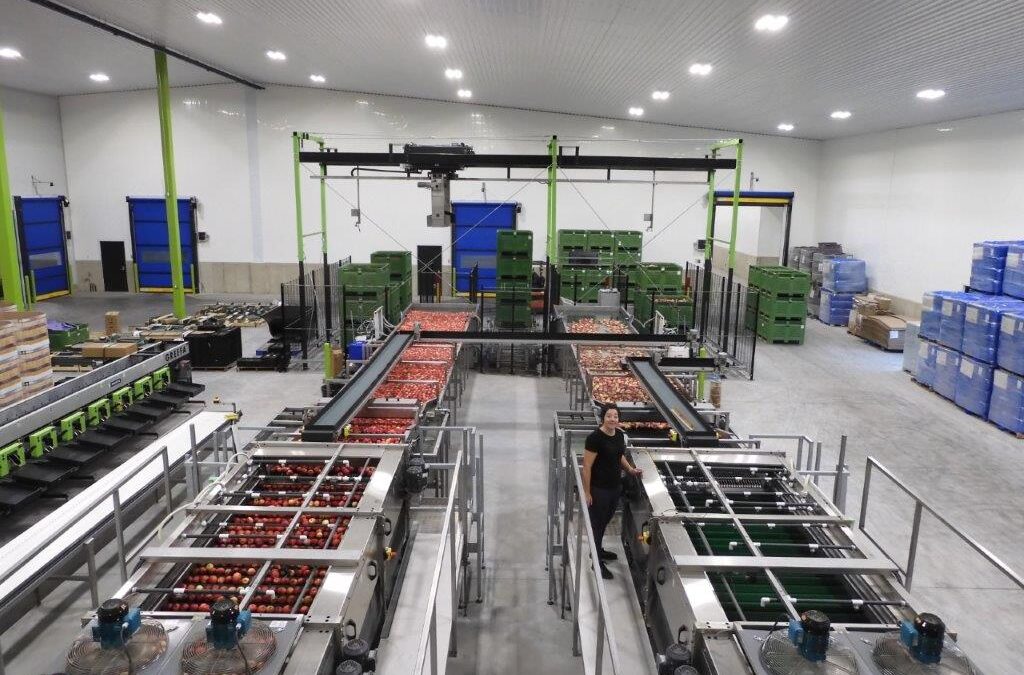 Packing Plant