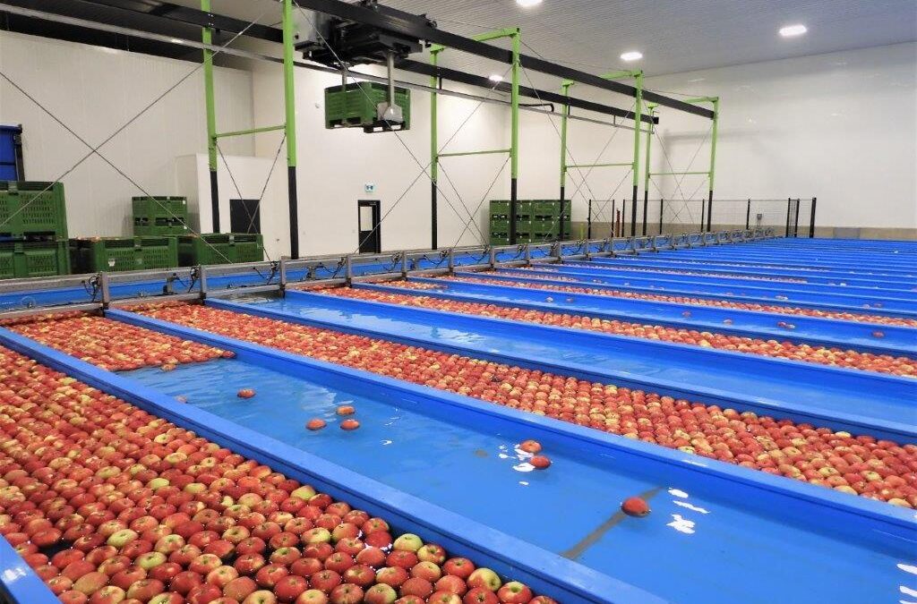 Packing Plant