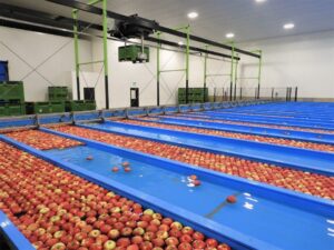 Packing Plant