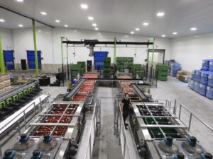 Packing Plant