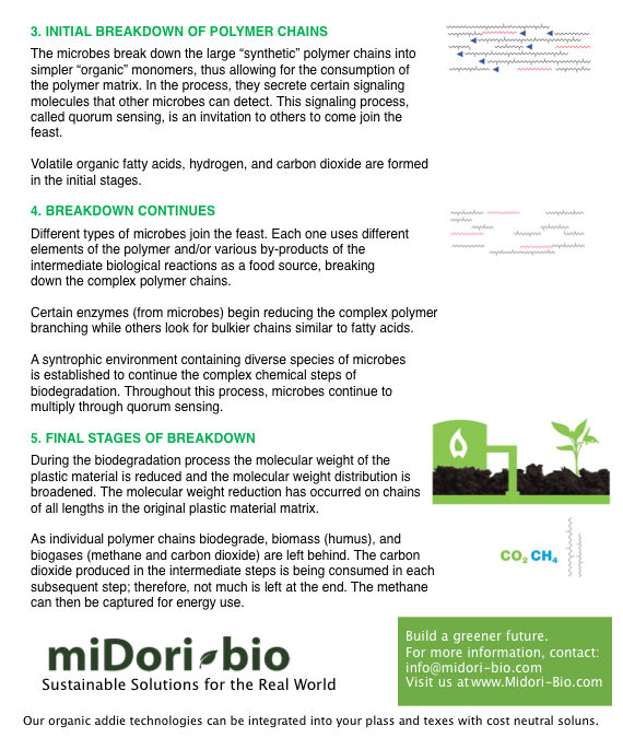 midori4